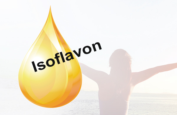 FitLine Isoflavon