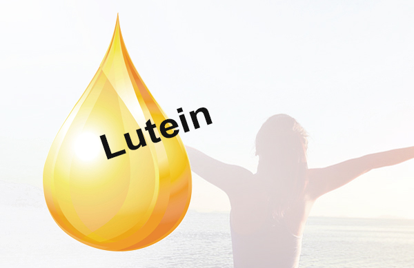 FitLine Lutein